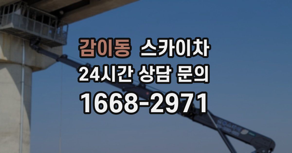 감이동 스카이차