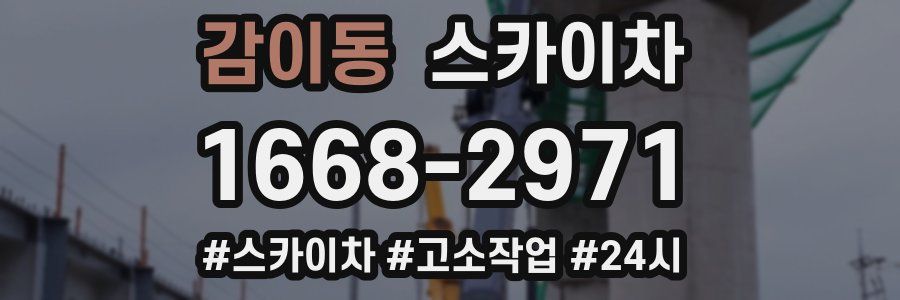 감이동 스카이차