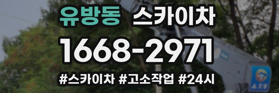 유방동 스카이차