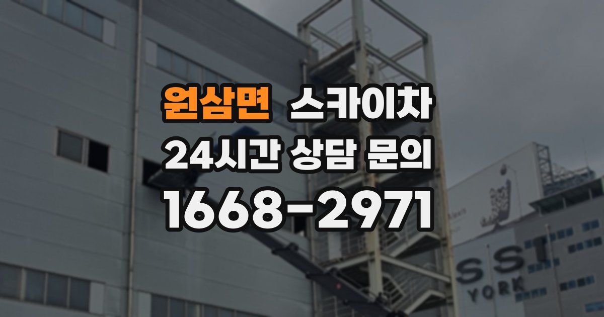 원삼면 스카이차