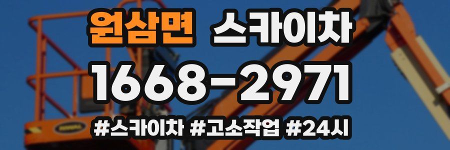 원삼면 스카이차