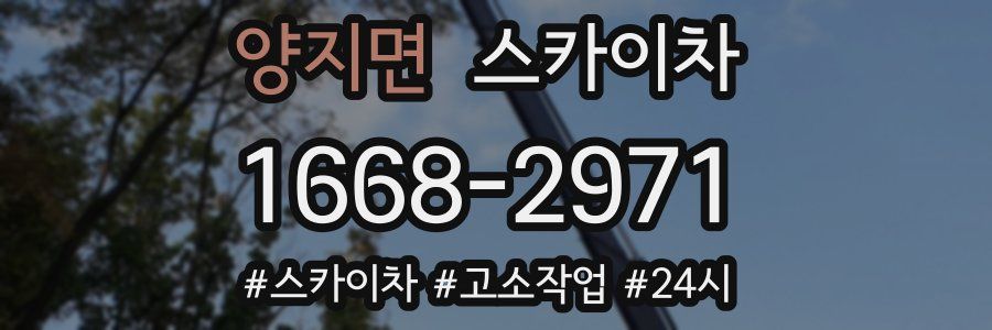 양지면 스카이차