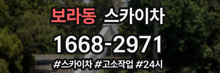 보라동 스카이차