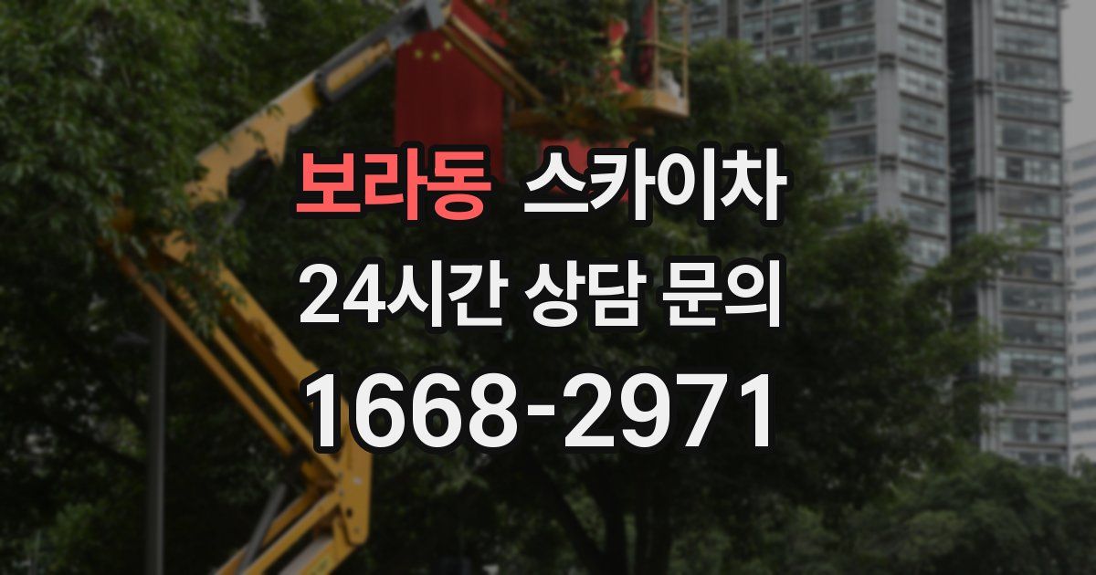 보라동 스카이차