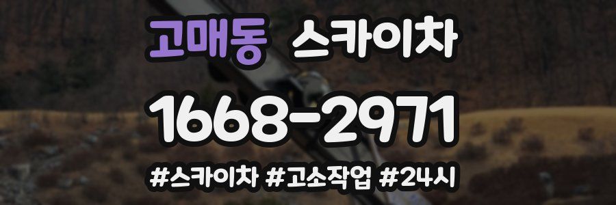 고매동 스카이차