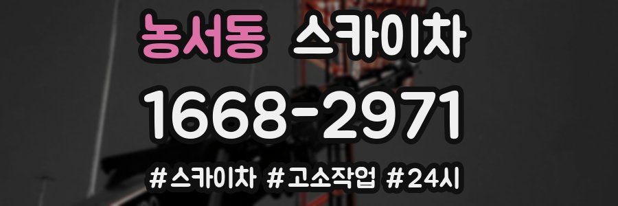 농서동 스카이차