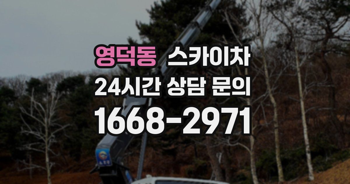 영덕동 스카이차