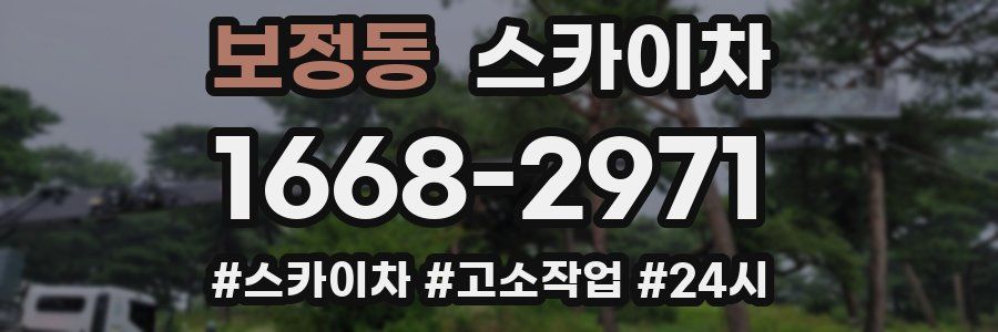 보정동 스카이차