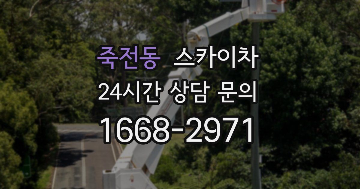 죽전동 스카이차