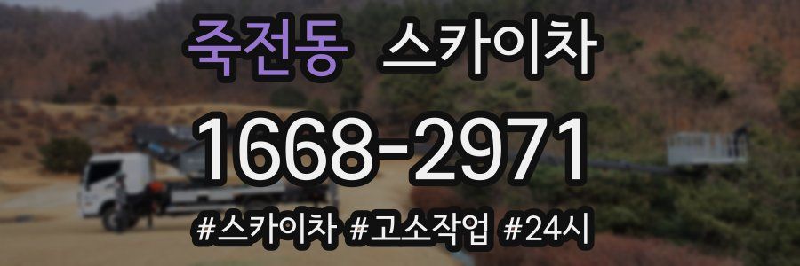 죽전동 스카이차