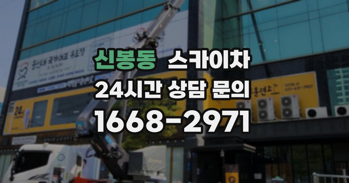 신봉동 스카이차