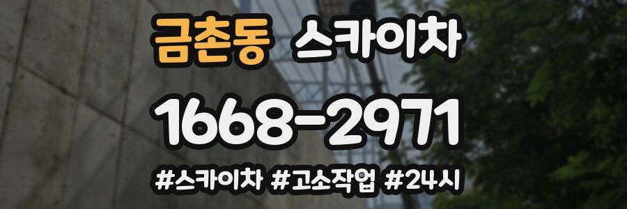 금촌동 스카이차