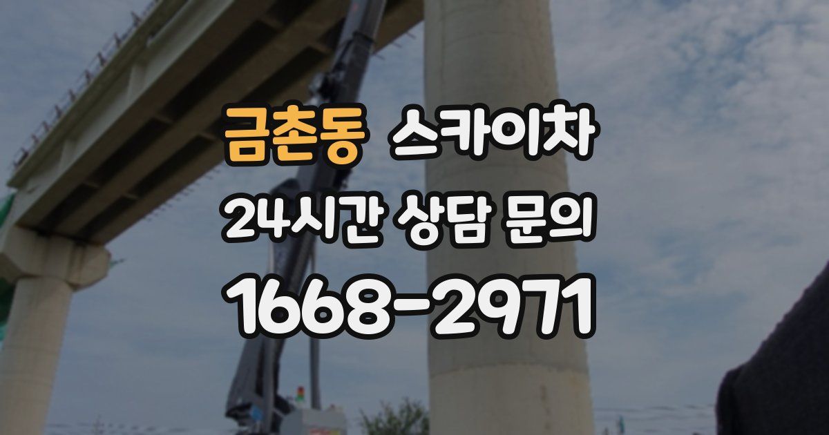 금촌동 스카이차