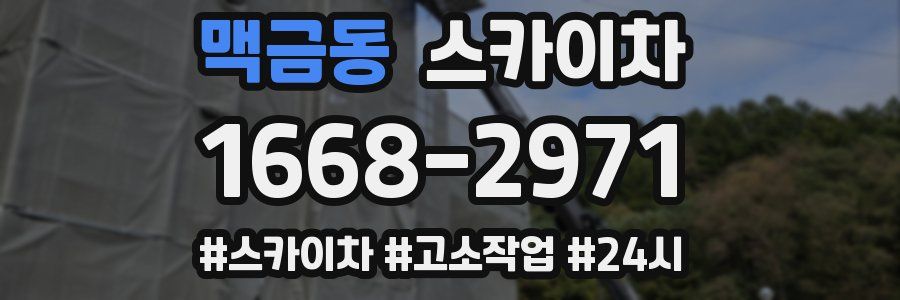 맥금동 스카이차