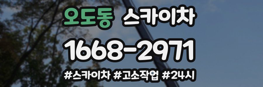 오도동 스카이차