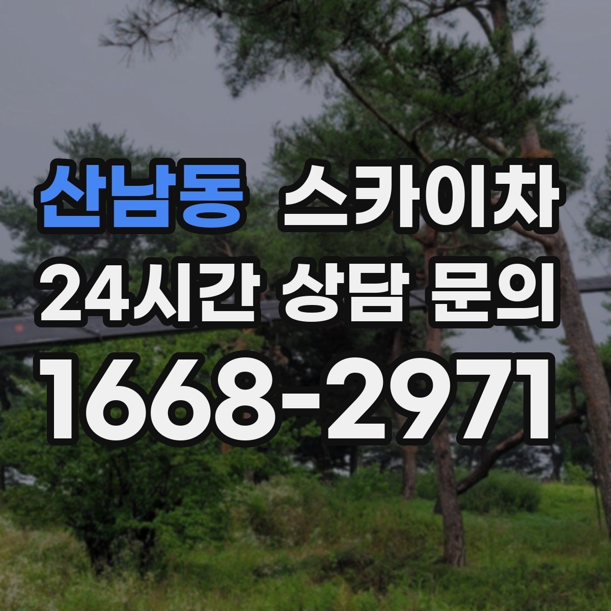 산남동 스카이차 통신선 정리 작업을 고소에서 진행하기