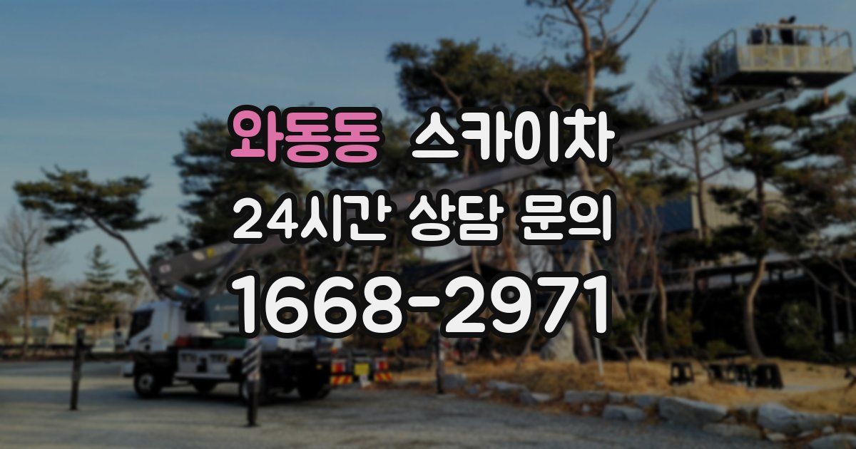 와동동 스카이차