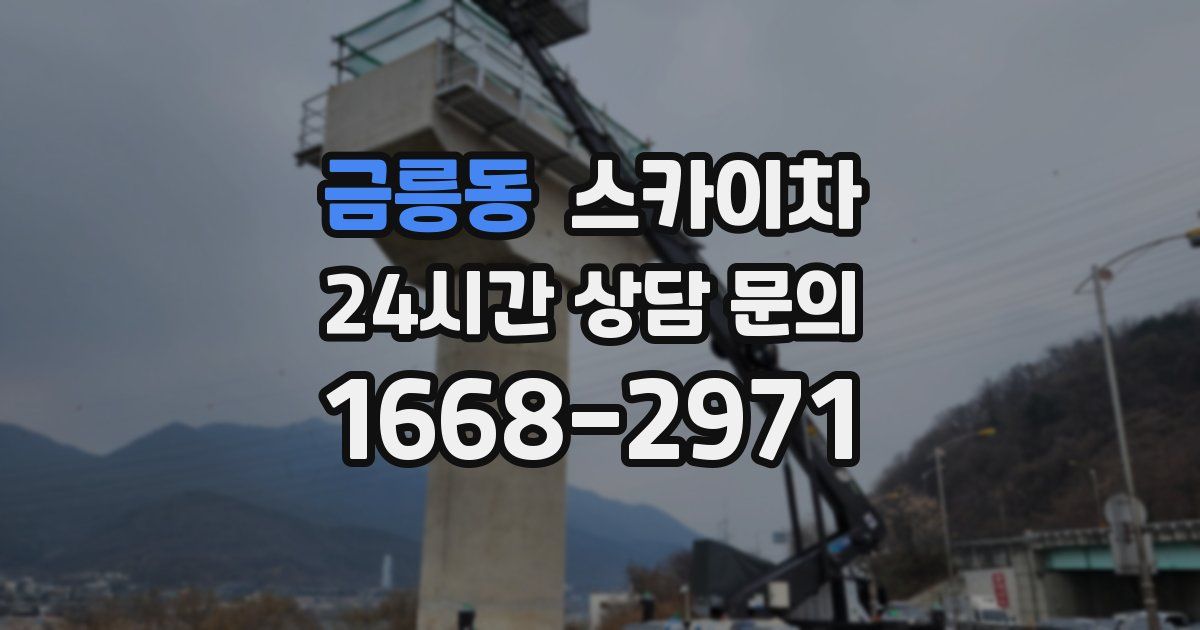 금릉동 스카이차