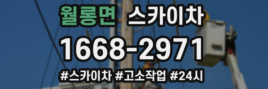 월롱면 스카이차