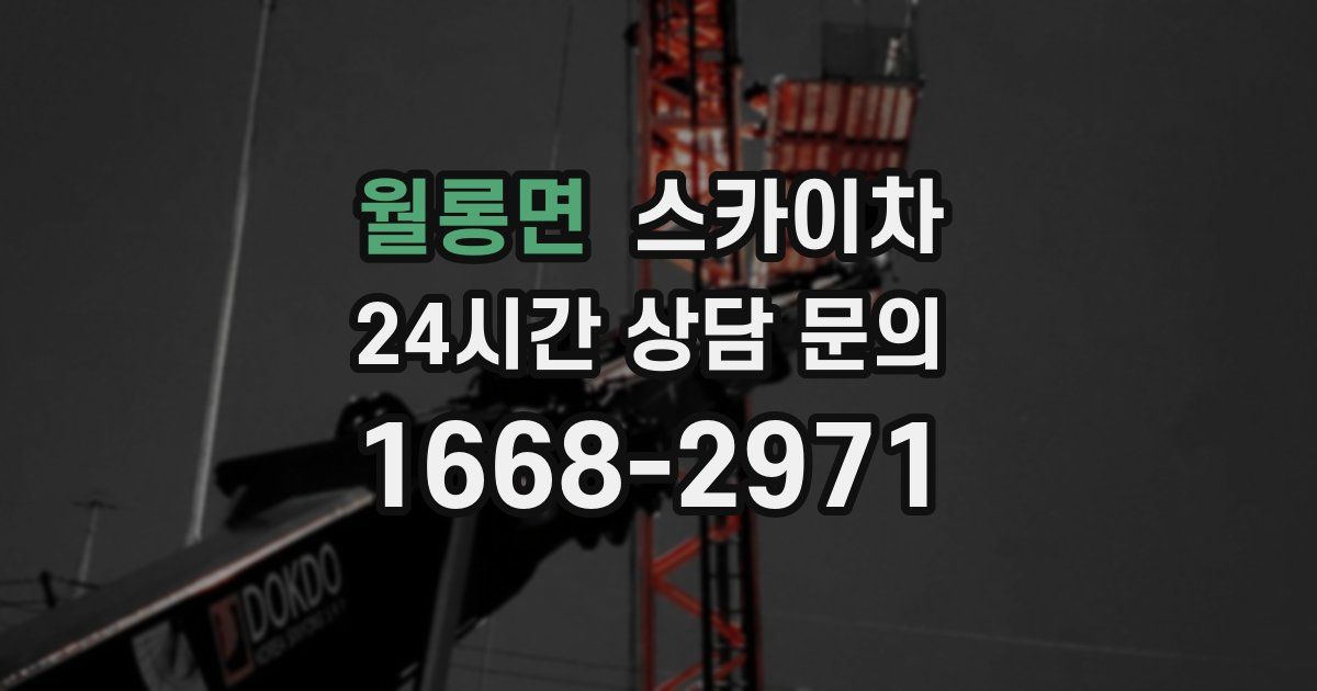 월롱면 스카이차