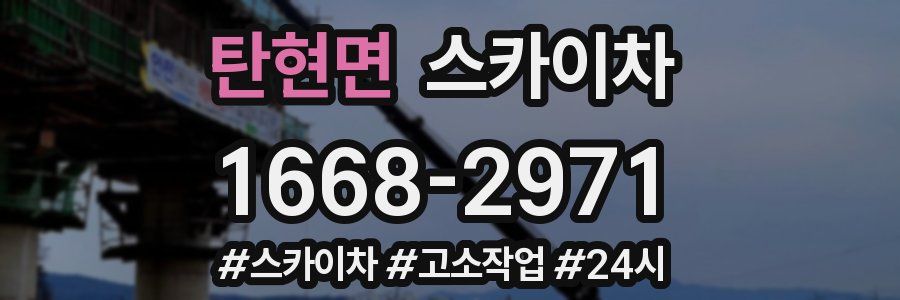 탄현면 스카이차