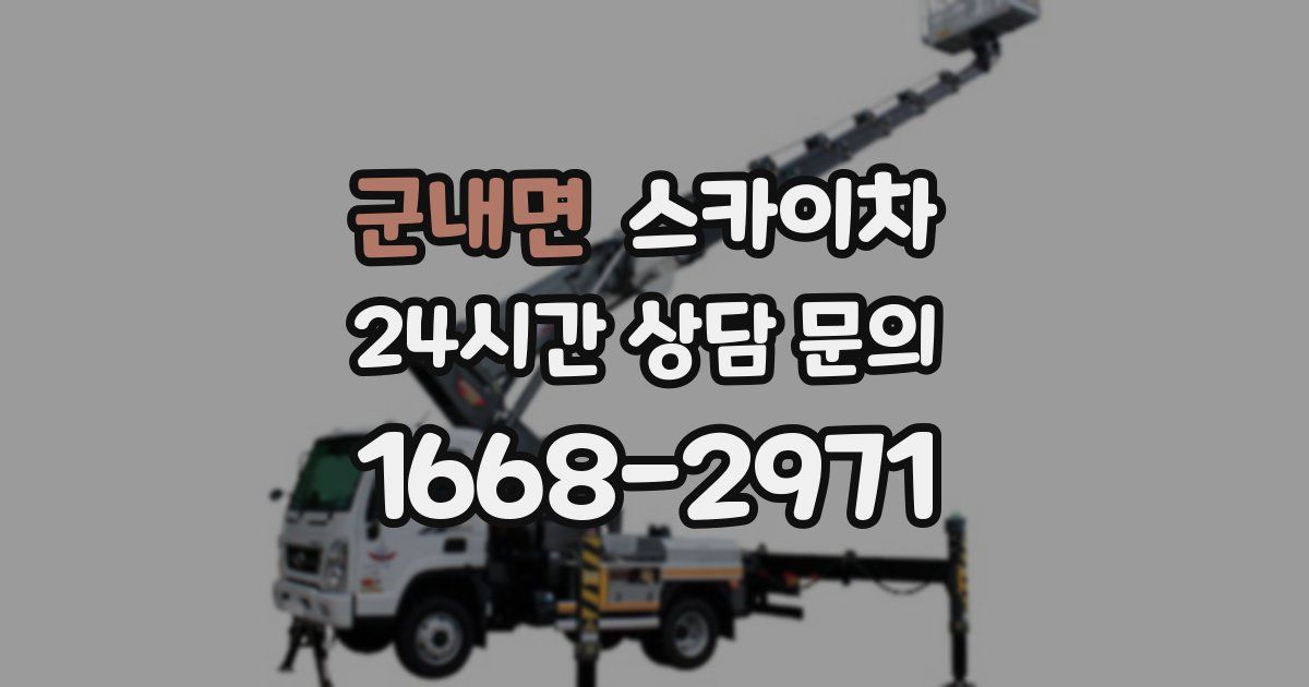 군내면 스카이차