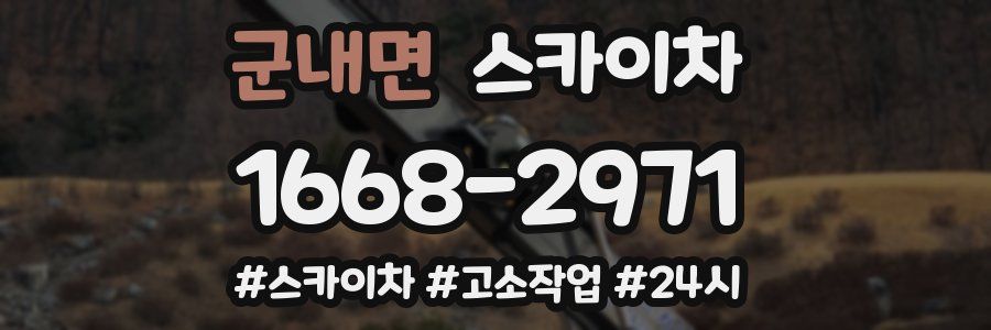 군내면 스카이차