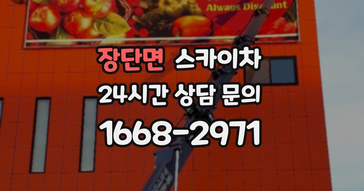 장단면 스카이차