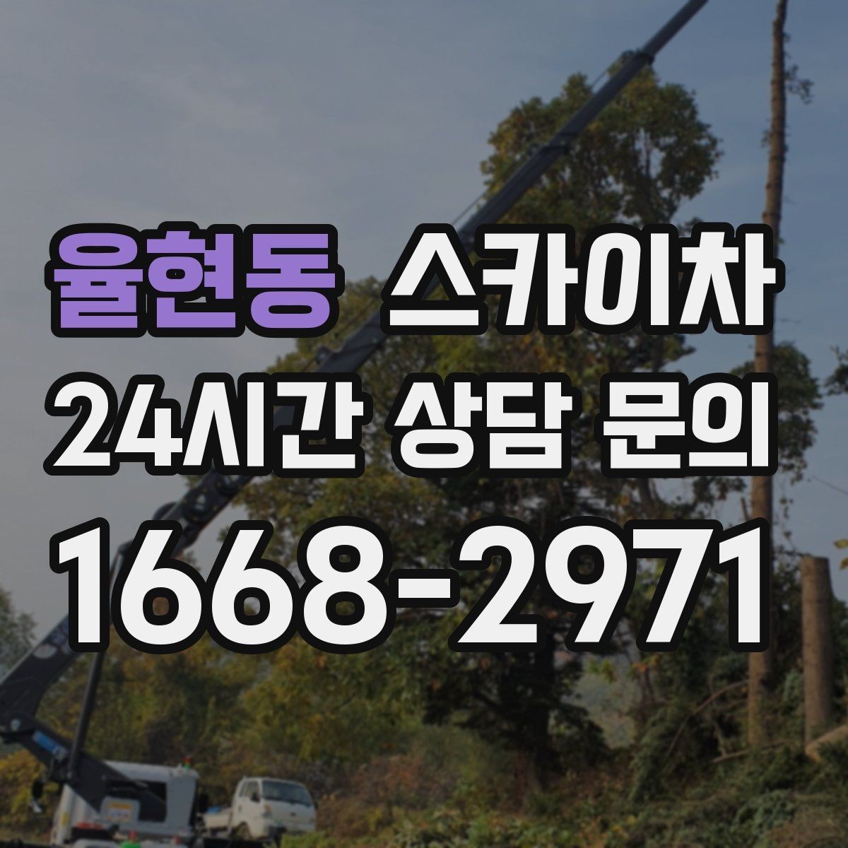 율현동 스카이차 돌출 간판 낙하 위험 예방 점검