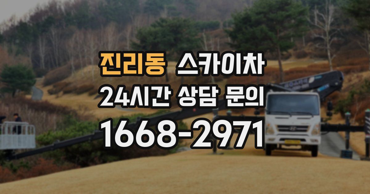 진리동 스카이차