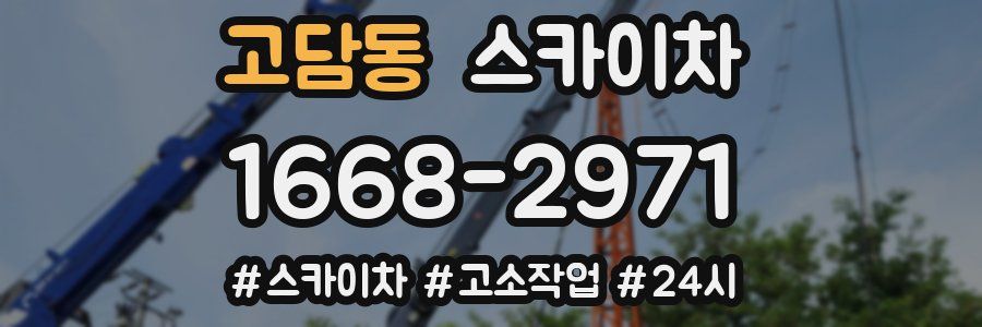 고담동 스카이차