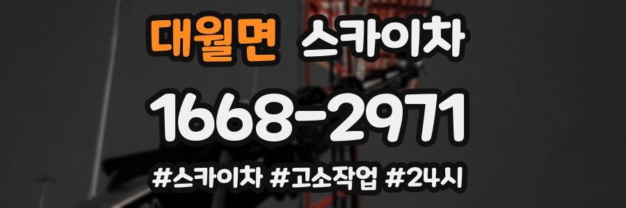 대월면 스카이차