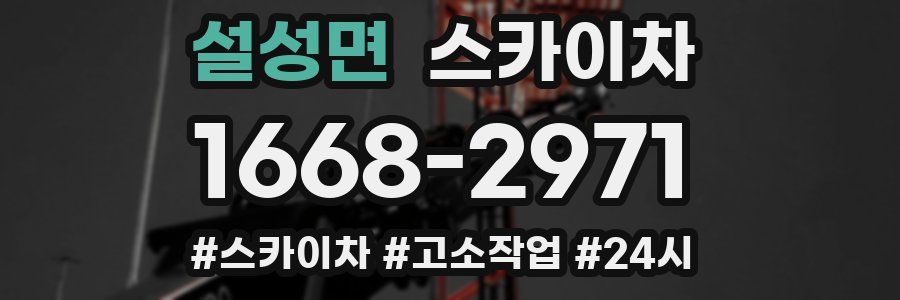 설성면 스카이차