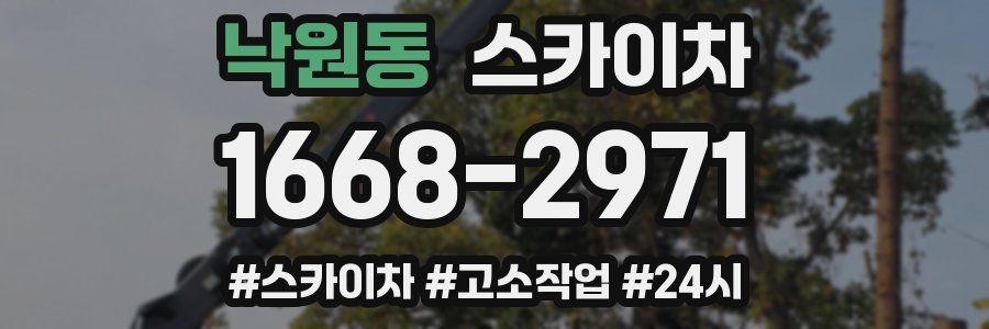 낙원동 스카이차