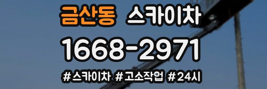 금산동 스카이차