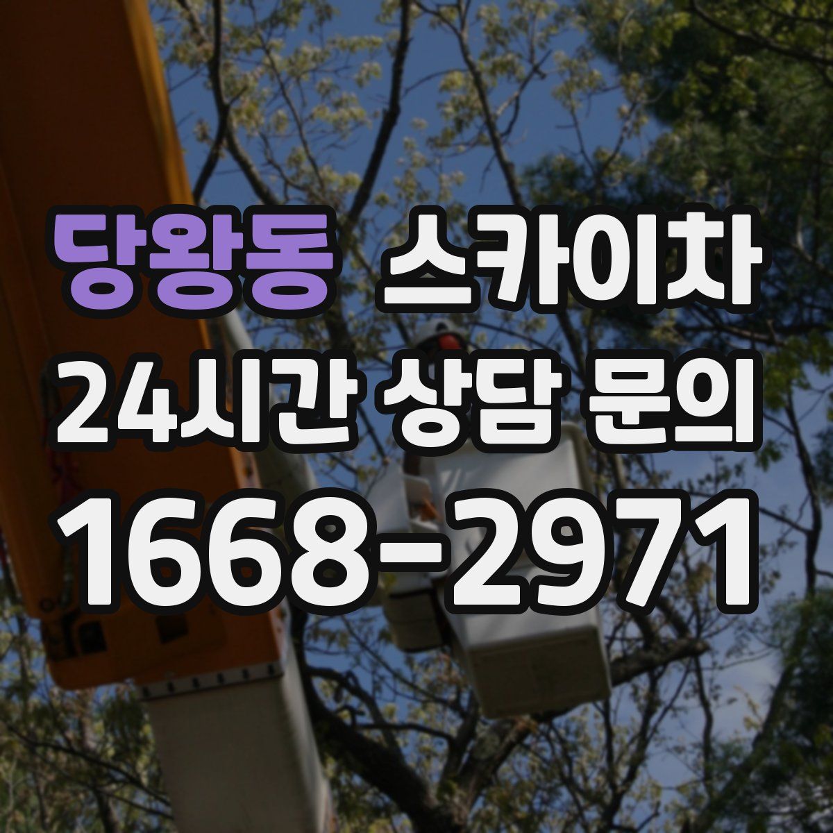 당왕동 스카이차