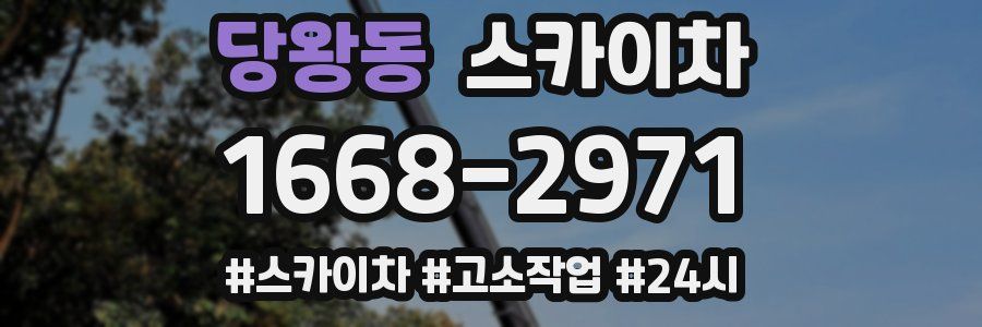 당왕동 스카이차