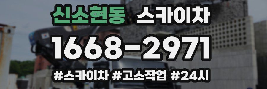 신소현동 스카이차