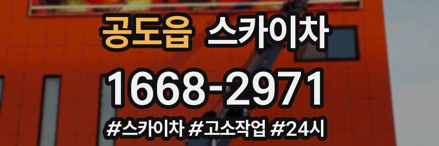 공도읍 스카이차