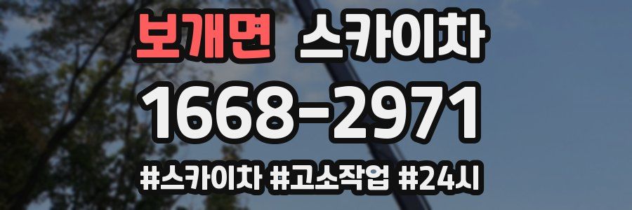 보개면 스카이차