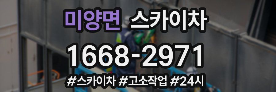 미양면 스카이차