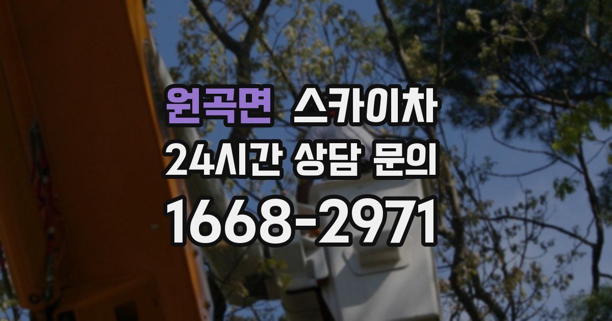 원곡면 스카이차