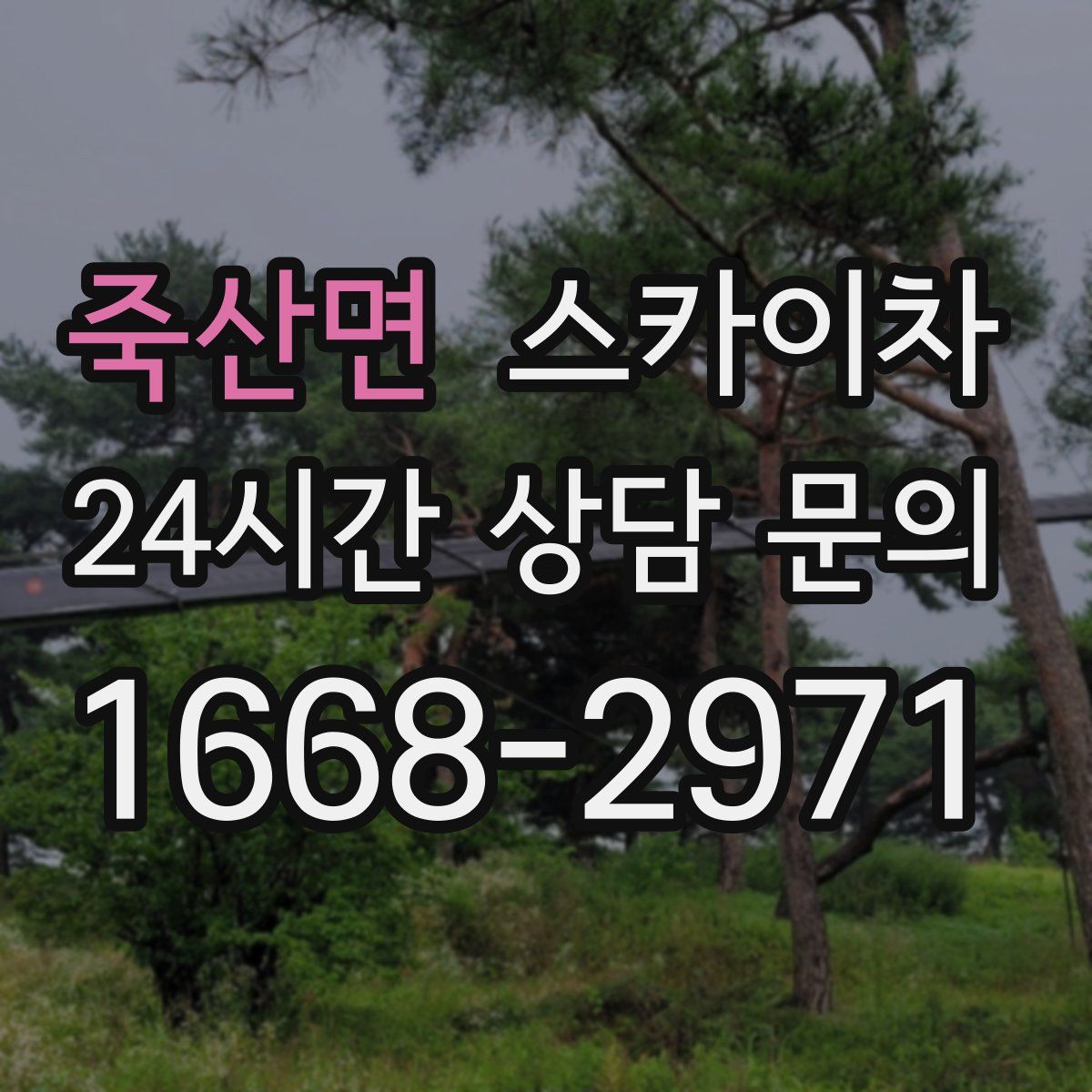 죽산면 스카이차