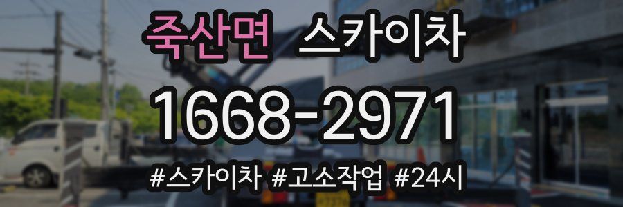 죽산면 스카이차