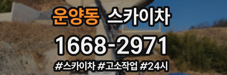 운양동 스카이차