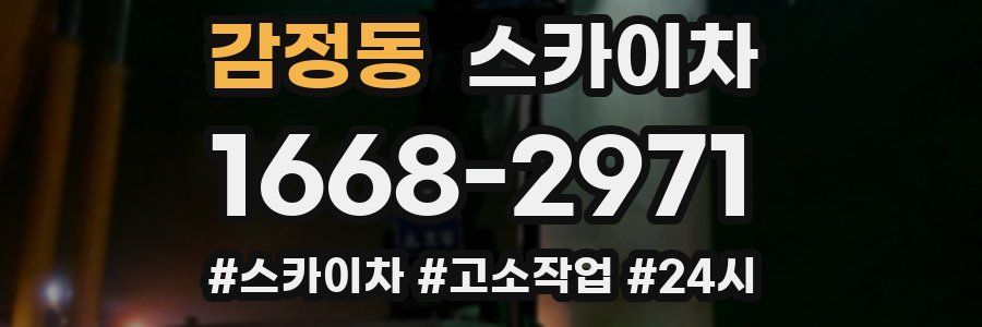 감정동 스카이차