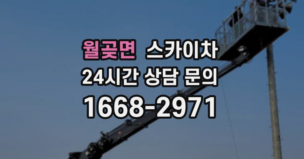 월곶면 스카이차