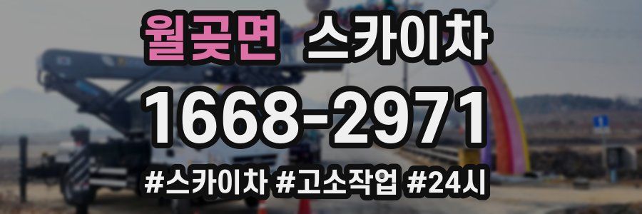 월곶면 스카이차