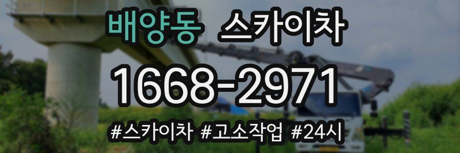 배양동 스카이차