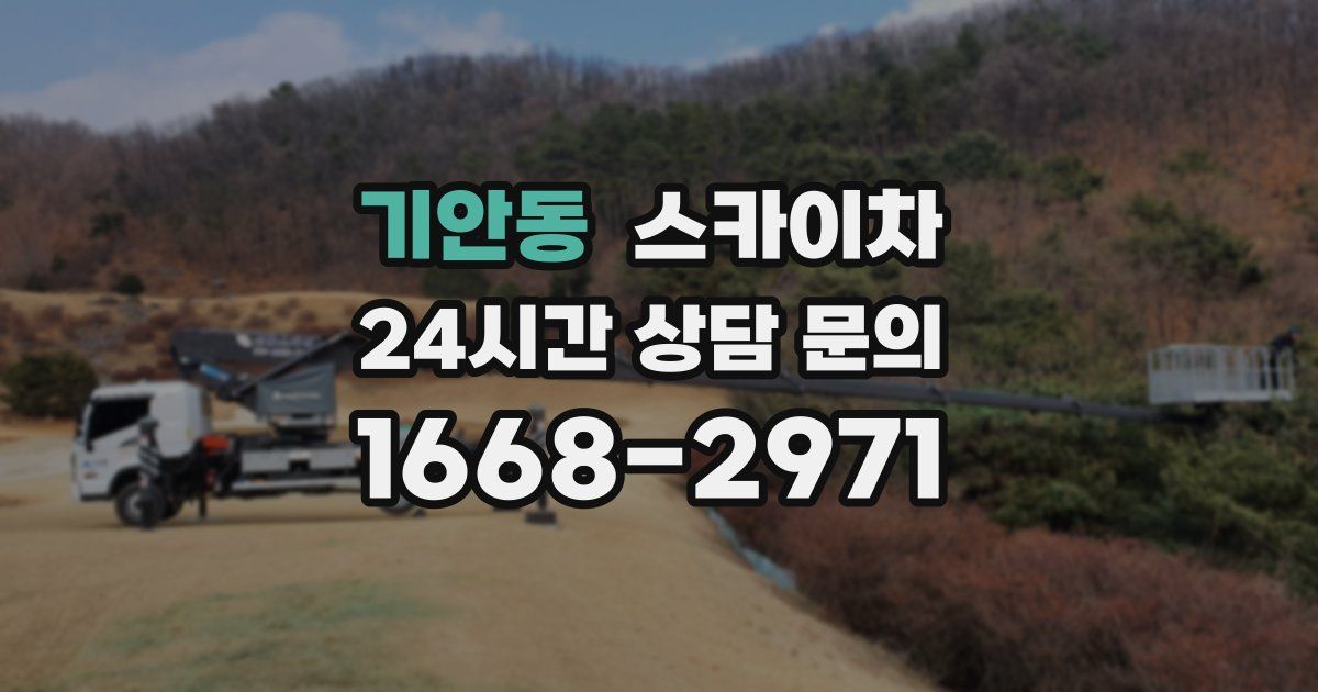 기안동 스카이차